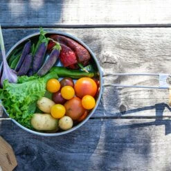 Primus Campfire Frying Pan 21 Cm|-|Poêle à Frire Campfire 21 Cm -Primus PRI P 738003 7E 7ELifestyle1 20No 20Color