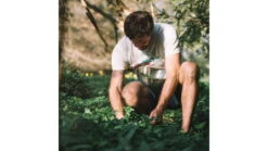 Primus Campfire Bowl W/Lid - Kids -Primus opplanet primus campfire bowl w lid p 740810 av 3