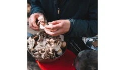 Primus Campfire Bowl W/Lid - Kids -Primus opplanet primus campfire bowl w lid p 740810 av 4