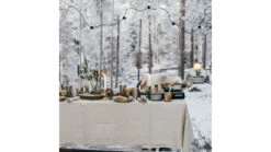 Primus Moja Stove -Primus opplanet primus moja stove black p 350173 av 11